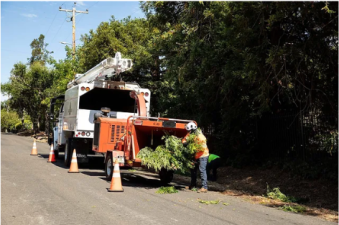 US Traffic Control Vegetation Management Right of Way Tree Trimming
